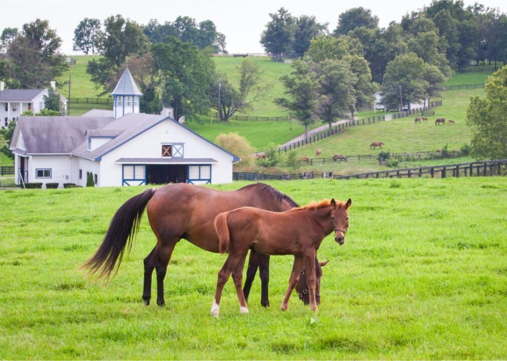 Kentucky